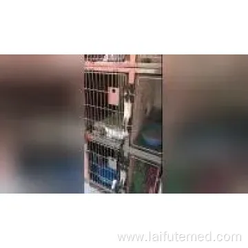 Stainless Steel Pet ICU Oxygen Cabin for Vet Hospitals